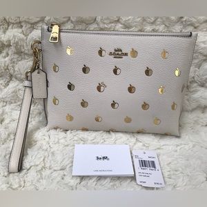Coach Charlie Pouch Leather Apple Print
